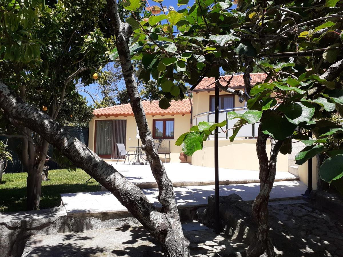 Casa De Santa Luzia A Vila Praia de Âncora Exterior foto