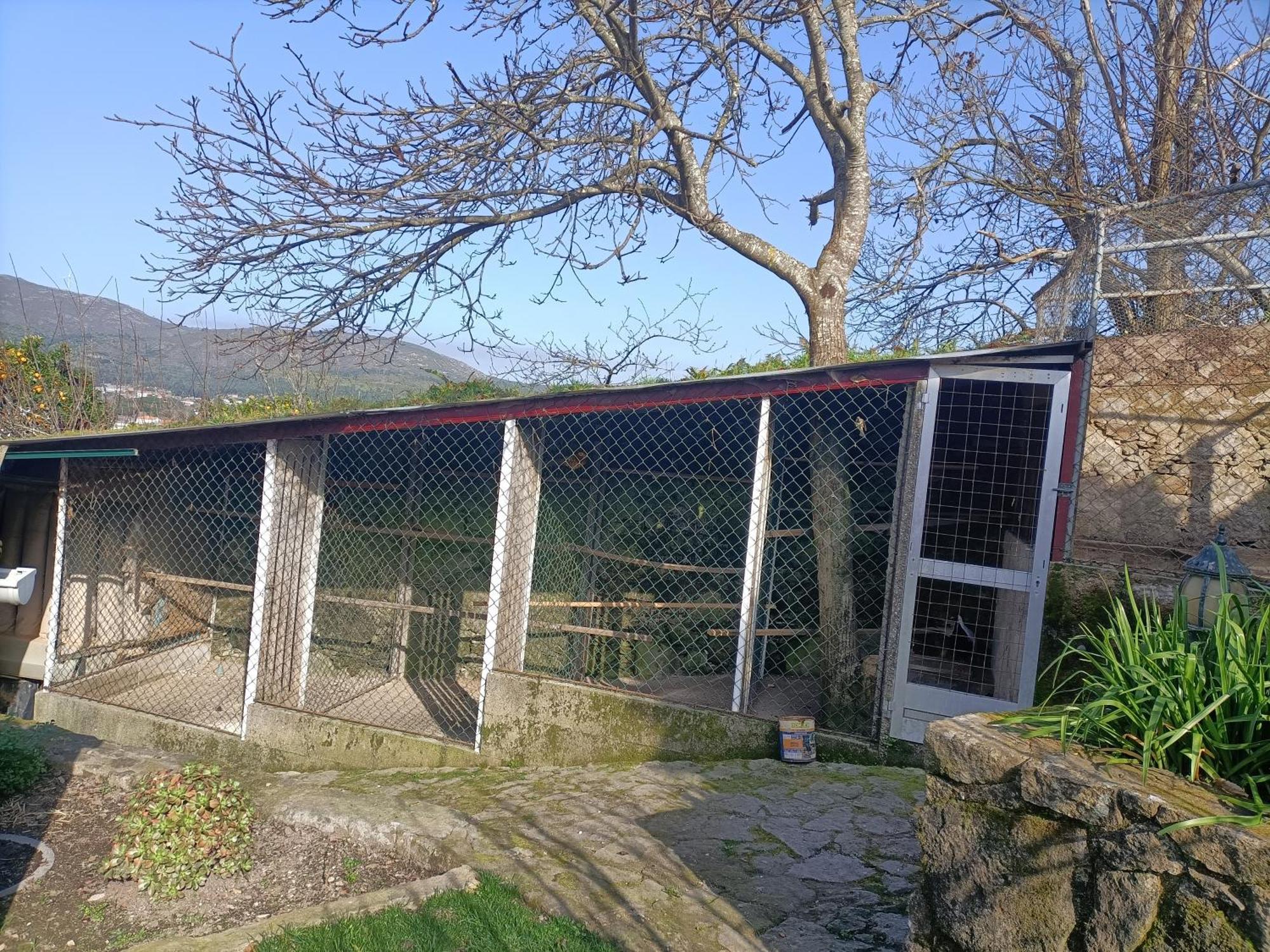 Casa De Santa Luzia A Vila Praia de Âncora Exterior foto