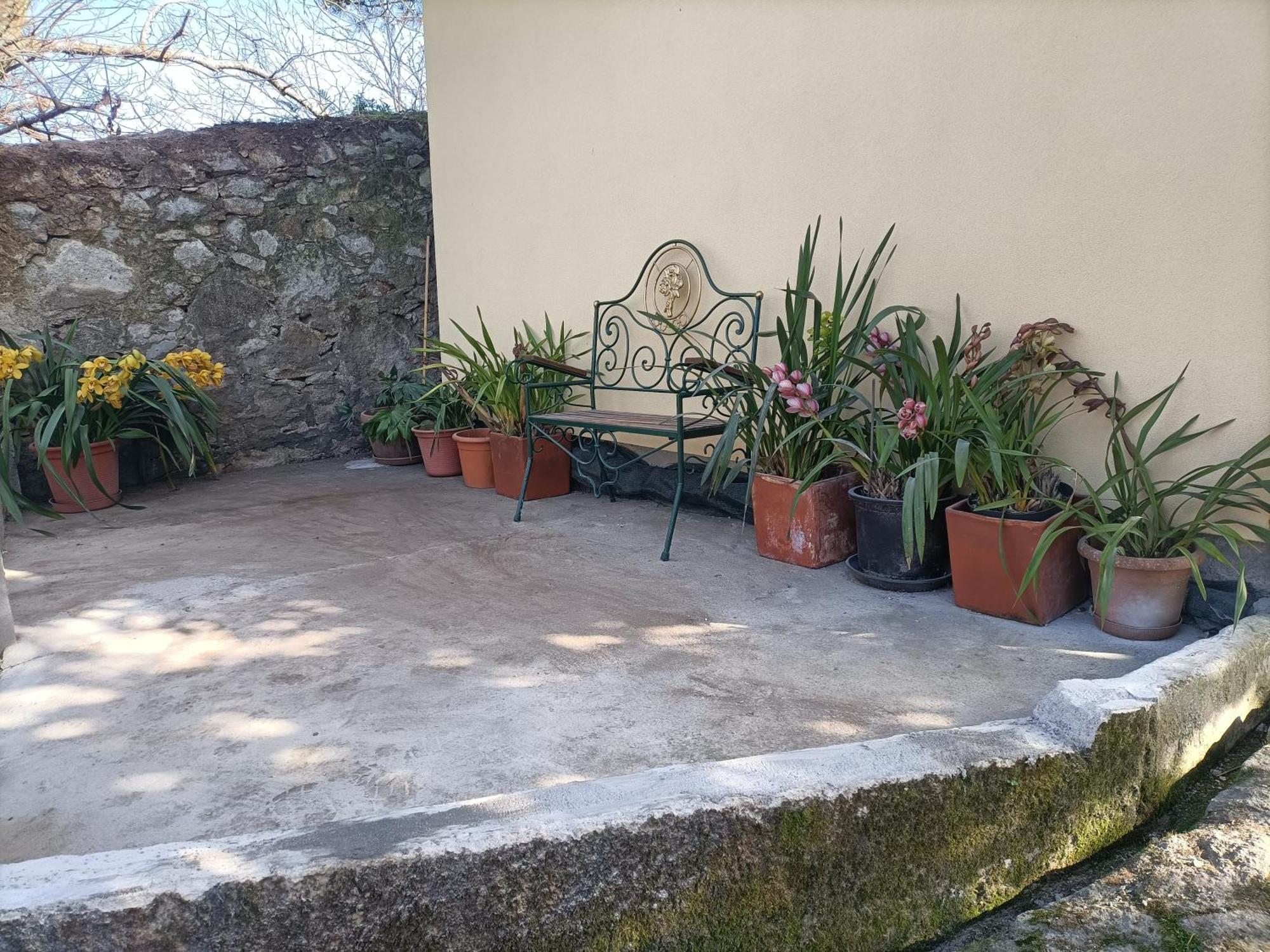 Casa De Santa Luzia A Vila Praia de Âncora Exterior foto